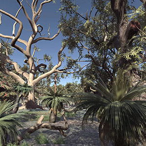 Australian Speedtree Modelling